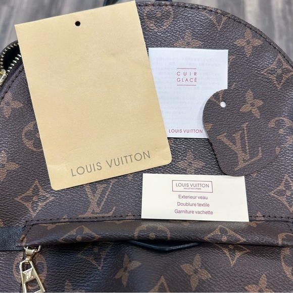 LOUIS VUITTON - Monogram Palm Springs PM main image 13